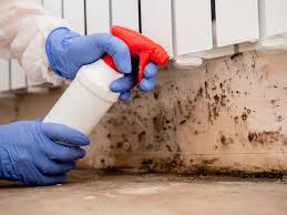  Alanes Ridge, CA Mold Inspection Pros